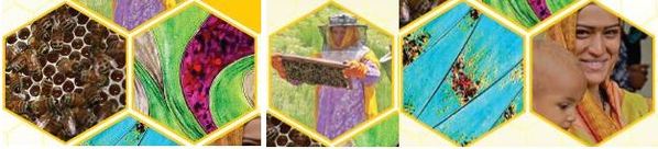 Plan Bee banner 2